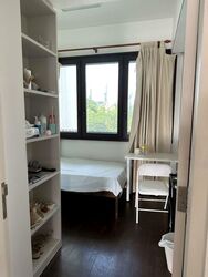 Village @ Pasir Panjang (D5), Condominium #447302301